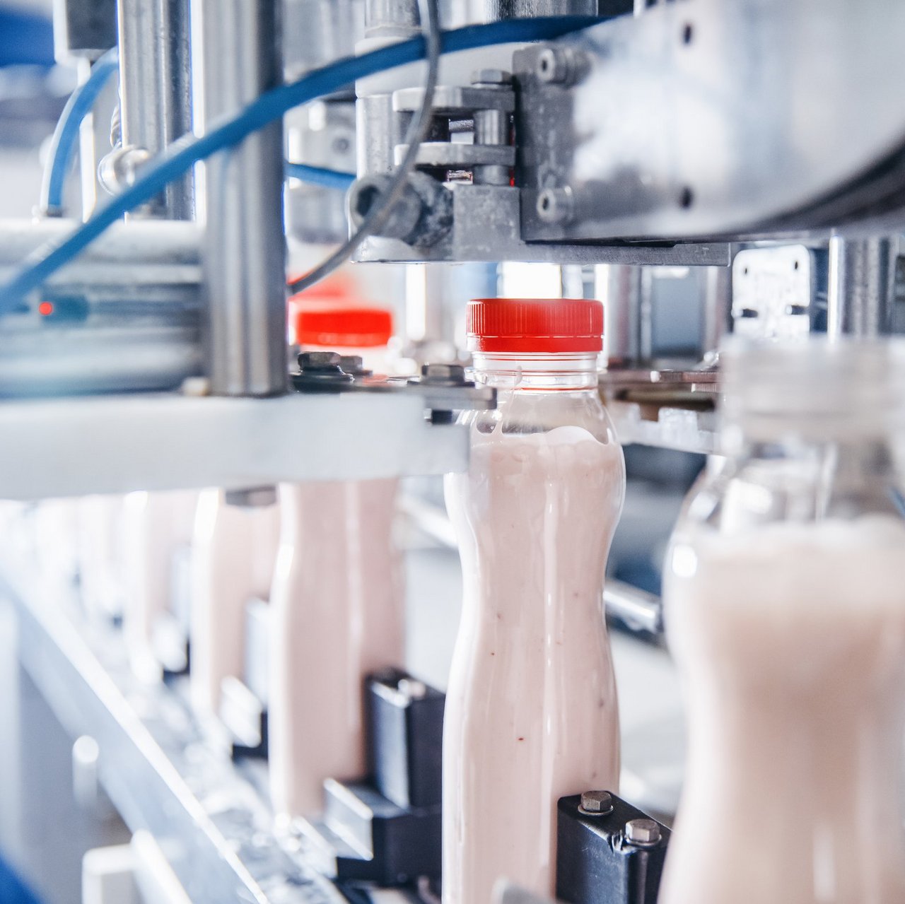 PAVIS milkFLOW: Effiziente Automatisierungslösungen für die Milchverarbeitung